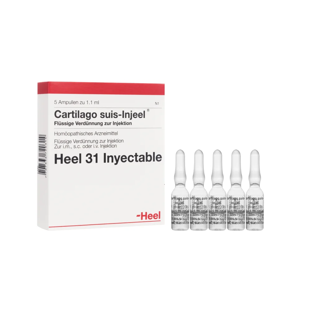 Cartilago Suis Injeel Ampollas